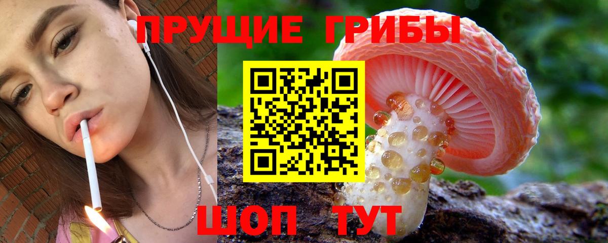 Псилоцибиновые грибы Psilocybe  Вход с VPN  Курган 