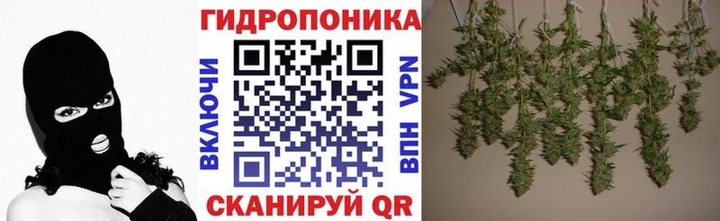 Бошки Шишки THC 21%  купить наркотик  Курган 