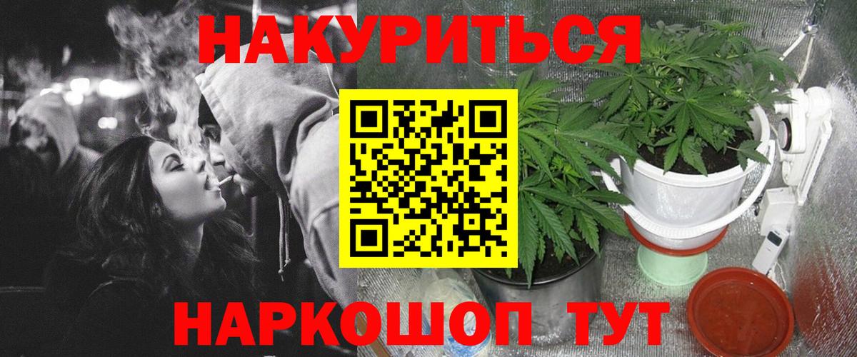 Бошки Шишки планчик  Вход с VPN  Курган  Бошки Шишки OG Kush  Шишки марихуана марихуана 